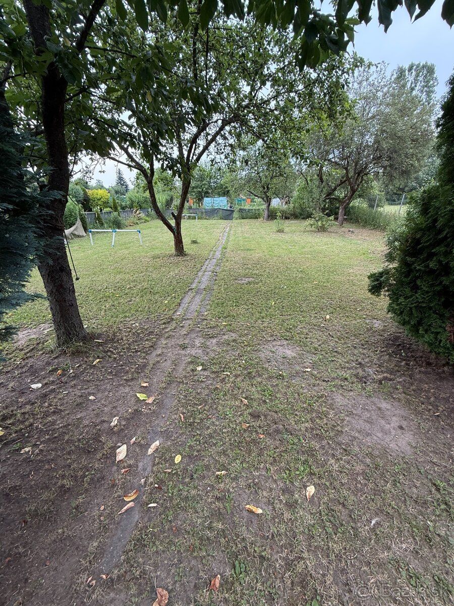 Oferujemy słoneczną działkę w kolonii ogrodniczej Na Sprzedam