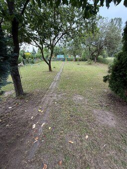 Oferujemy słoneczną działkę w kolonii ogrodniczej Na Sprzedam