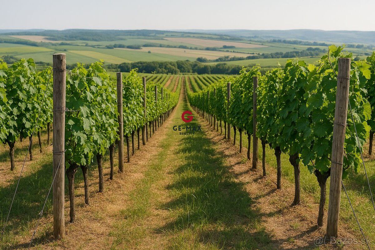 ID:337 GE-MAX Reality oferuje na sprzedaż winnicę w Tokaju
