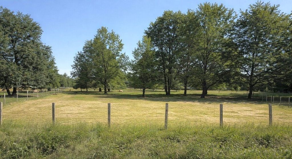 Ponúkame na predaj rozľahlý, slnečný pozemok s výmerou 3 335