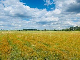 Продається земельна ділянка під будівництво в гарному, тихому місці