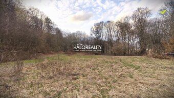 Агентство нерухомості HALO reality та інженер Анежка