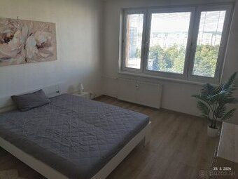 Dzień dobry 🙂 Z moim partnerem szukamy mieszkania