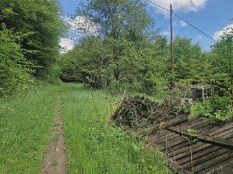 Nazywam się Samuel Lörinc z agencji nieruchomości Eli Real