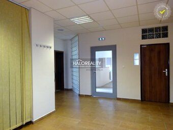 Agencja nieruchomości HALO Reality i mgr. Beata Ninisová