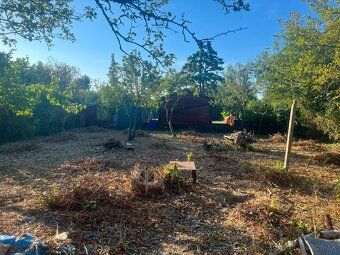 Prodám zahradu v Žabím majeru. Rozloha 420 m², voda