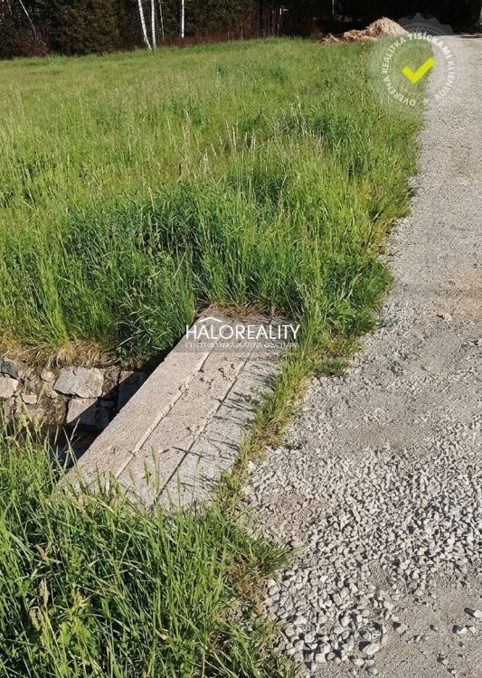 Агентство нерухомості HALO reality та Штефан Юрчішин