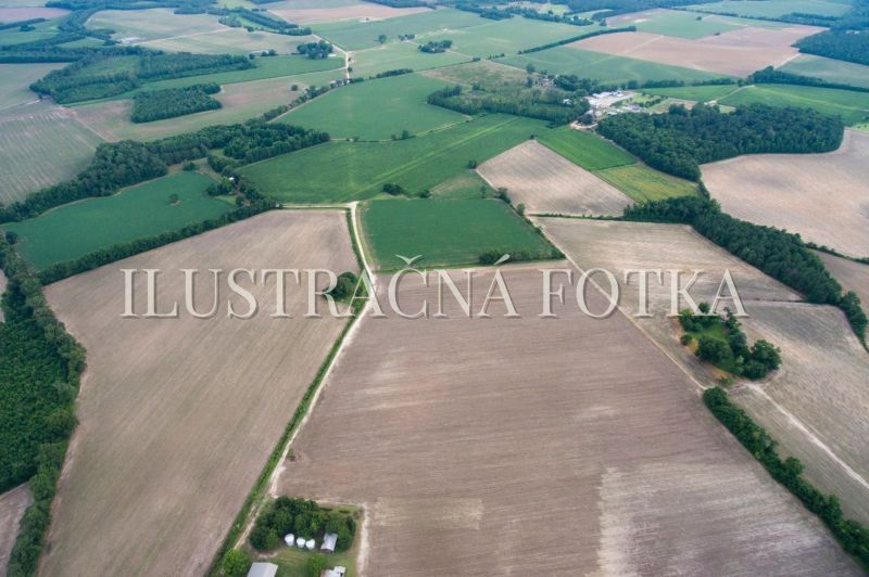 Hledám pozemky k pronájmu, orná půda, louky, pastviny pro