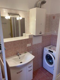 Nabízím k pronájmu prostorný (60 m2) dvoupokojový byt v