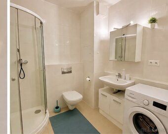 I am offering for rent a pleasant, bright and fully