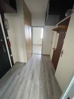 Ponúkam na prenájom pekný priestranný slnečný byt /43m ²/ na