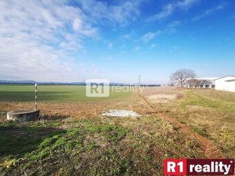 Oferuję na sprzedaż dużą słoneczną działkę w miejscowości