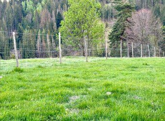 DZIAŁKA w całości 67 000 m², Potok, elektryczność