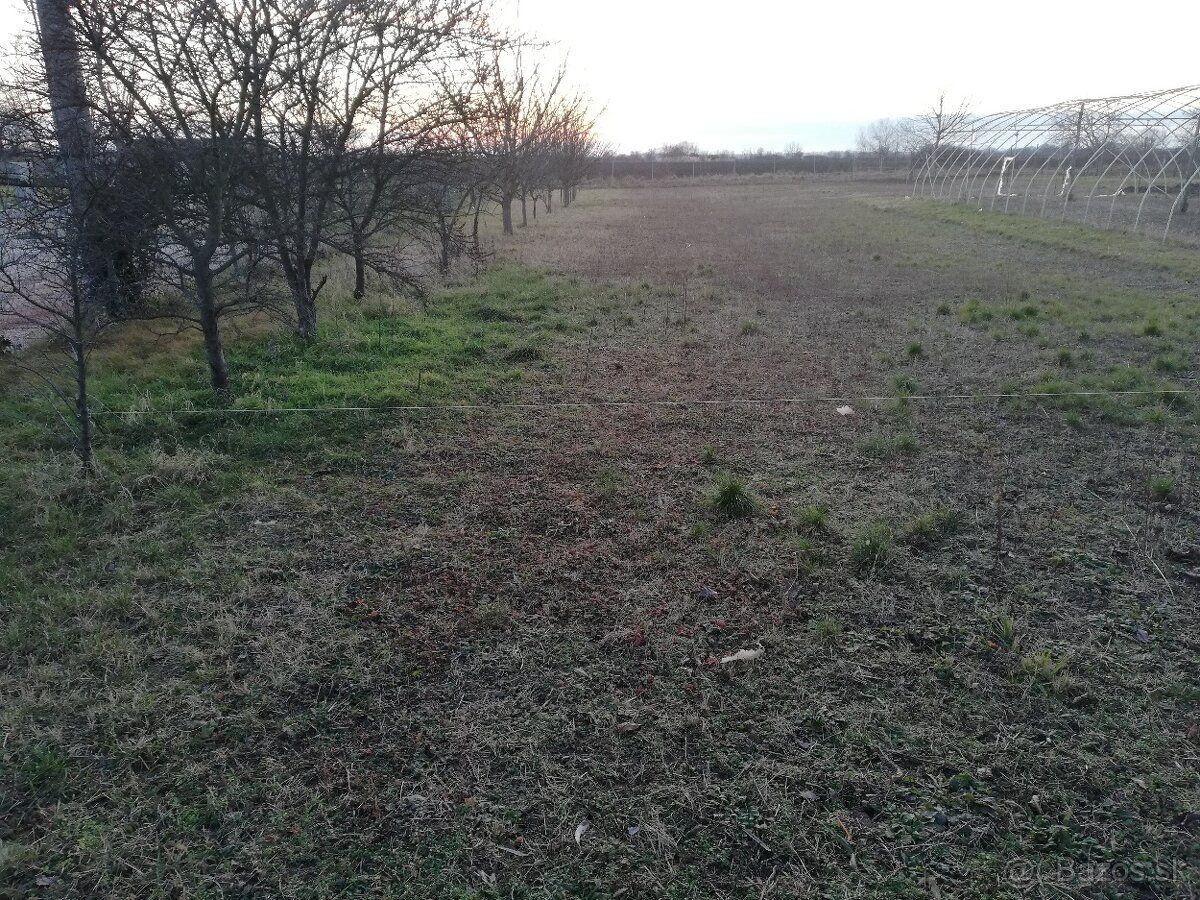 Продам земельну ділянку під будівництво, тихе та сонячне