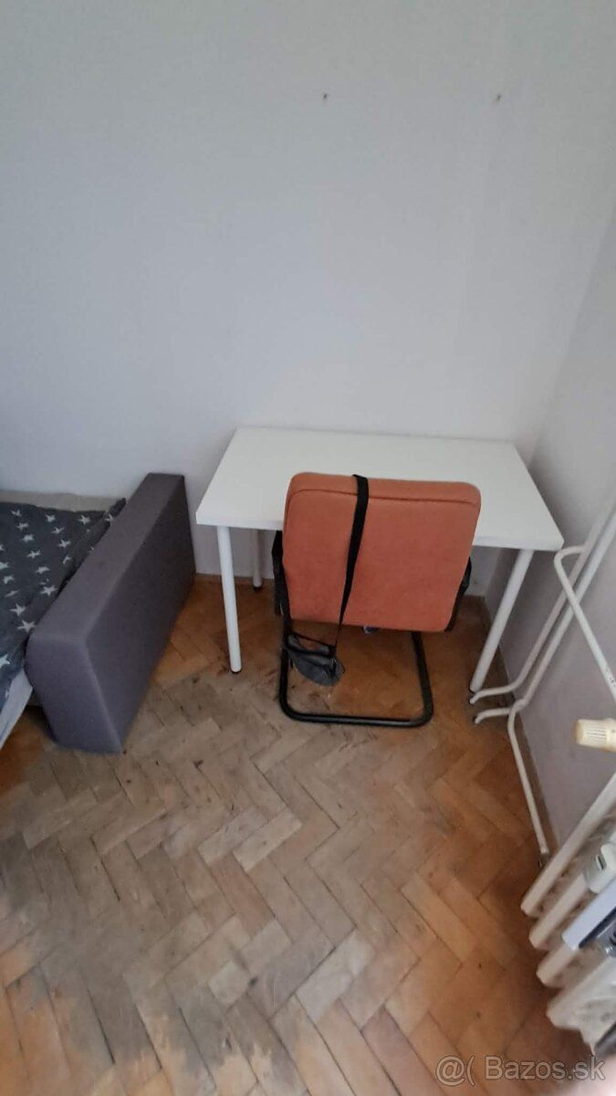 Zgoda właściciela jest poszukiwana od SIERPNIA w małym