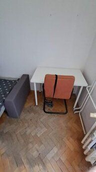 Zgoda właściciela jest poszukiwana od SIERPNIA w małym