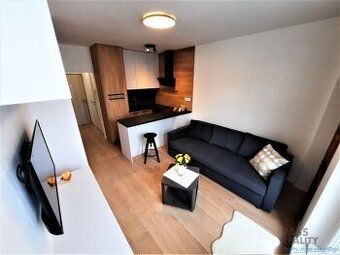 Zgoda właściciela jest poszukiwana od SIERPNIA w małym