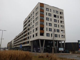 Mam zainteresowanie kupnem piwnicznej komórki przy ul
