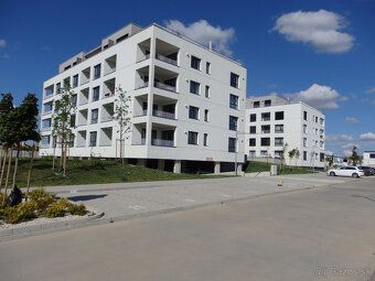 Nabízím dlouhodobý pronájem venkovních parkovacích míst v