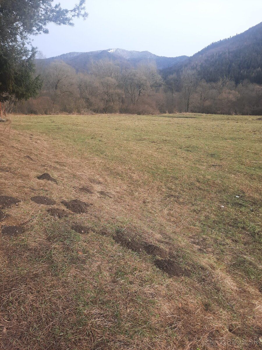 Prodám pozemek v Liptovské osadě, okres Ružomberok u obce