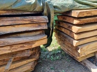 Prodám ořechové prkna ve vyschlém stavu (s možností