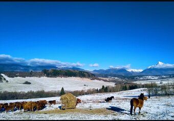 VÝCHODNÁ LIPTOV-TATRY Prodej/pronájem/výměna Plocha pozemku