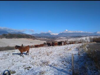 VÝCHODNÁ LIPTOV-TATRY Prodej/pronájem/výměna Plocha pozemku