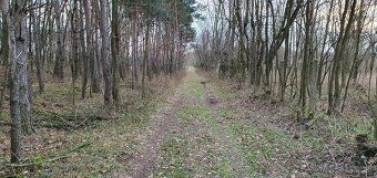 Predám svoj podiel 40ár. z( 2.3ha štvorec)51€/m2