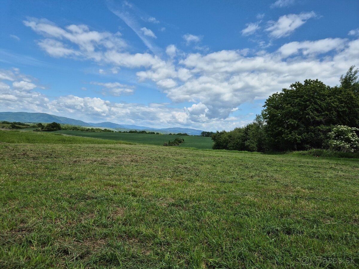 Sprzedam budowlaną działkę z ogrodem. Powierzchnia 2255 m²