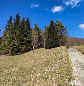 Nabízím k prodeji dvě parcely v obci Terchová – jednu ve