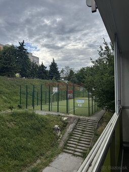 Typ: 1-pokojový byt Ulice: Turgenevova Čtvrť: Jih Obec