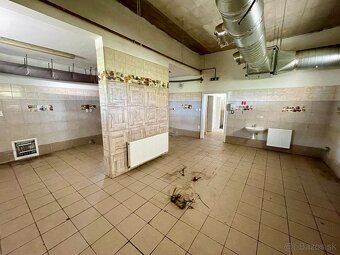 For rent non-residential gastro space (restaurant) in an