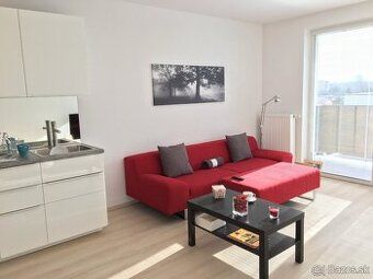 AHha Reality offers for rent a spacious 2-room apartment in