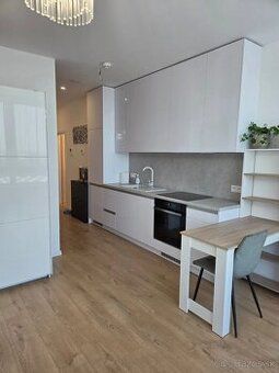 AHha Reality offers for rent a spacious 2-room apartment in