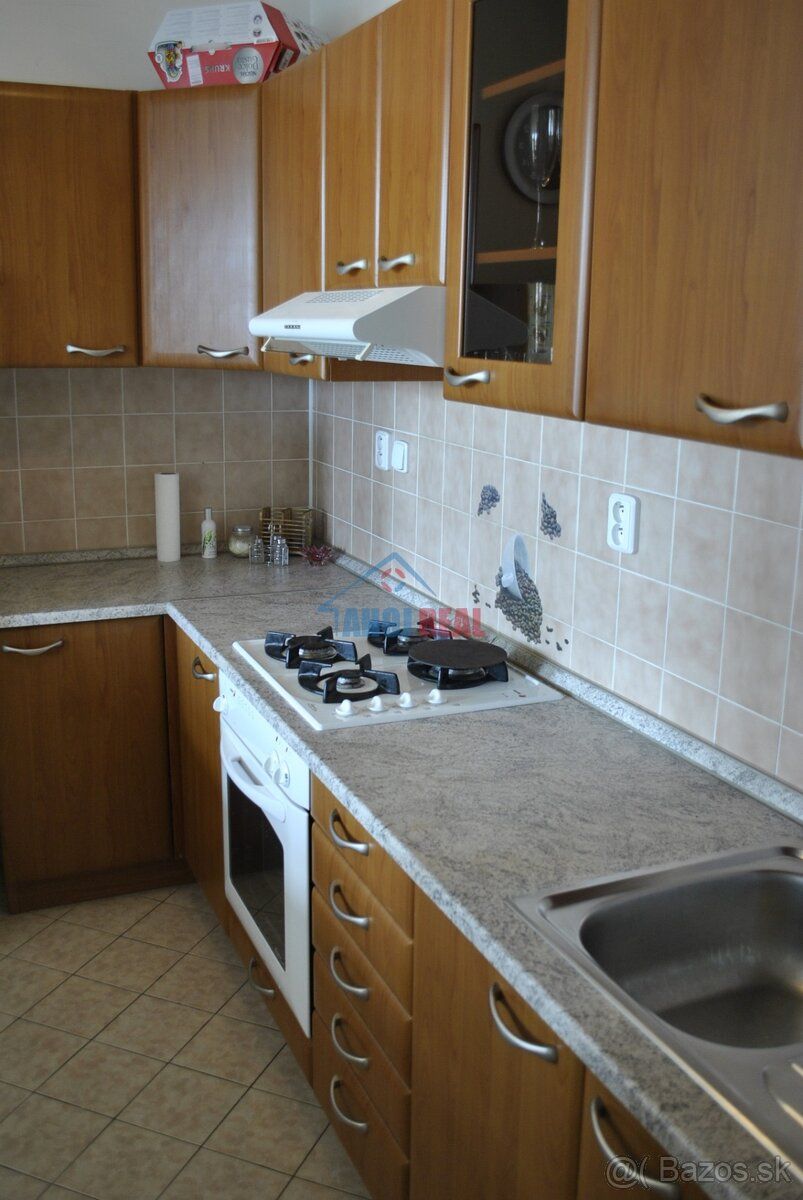 Real Estate Agency AHOJ REAL offers exclusively for rent a