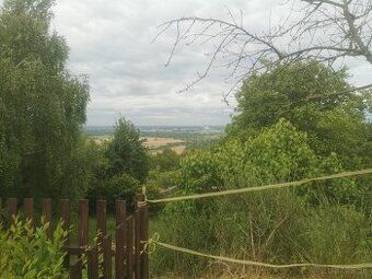 I sell co-ownership shares in arable land measuring 3 100