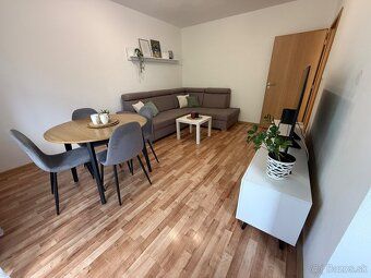 We offer for rent a completely renovated and modernly