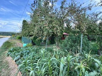 Type: Garden Village: Nové Mesto nad Váhom We offer for