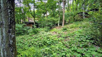 TUreality offers for sale an interesting building plot in