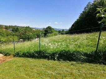 TUreality offers for sale a sunny forest land surrounded by