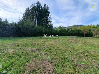 Real Estate Agency HALO Reality and Darina Sedliakova