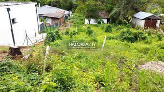 Real Estate Agency HALO Reality and Miloš Silný, contact