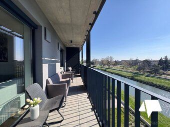 Do wynajęcia piękny 2-pokojowy apartament w rezydencji