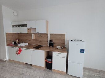 Oferuję do wynajęcia przestronny 1-pokojowy apartament w